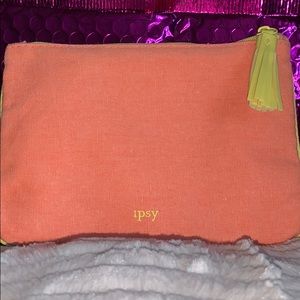 Ipsy make up bag
